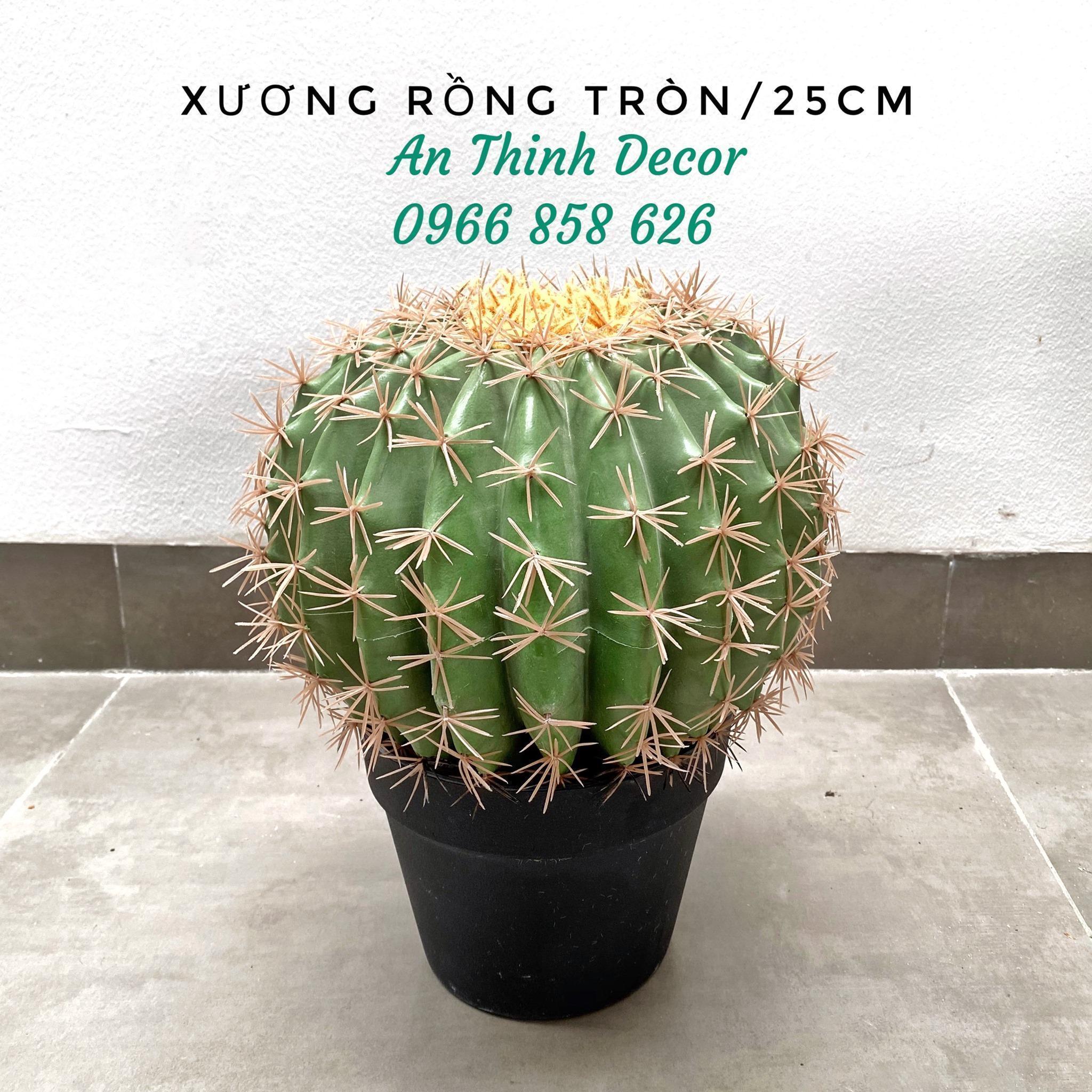 201041167_880664355863076_5576171384664050222_n