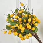 Cảnh quả cao cấp